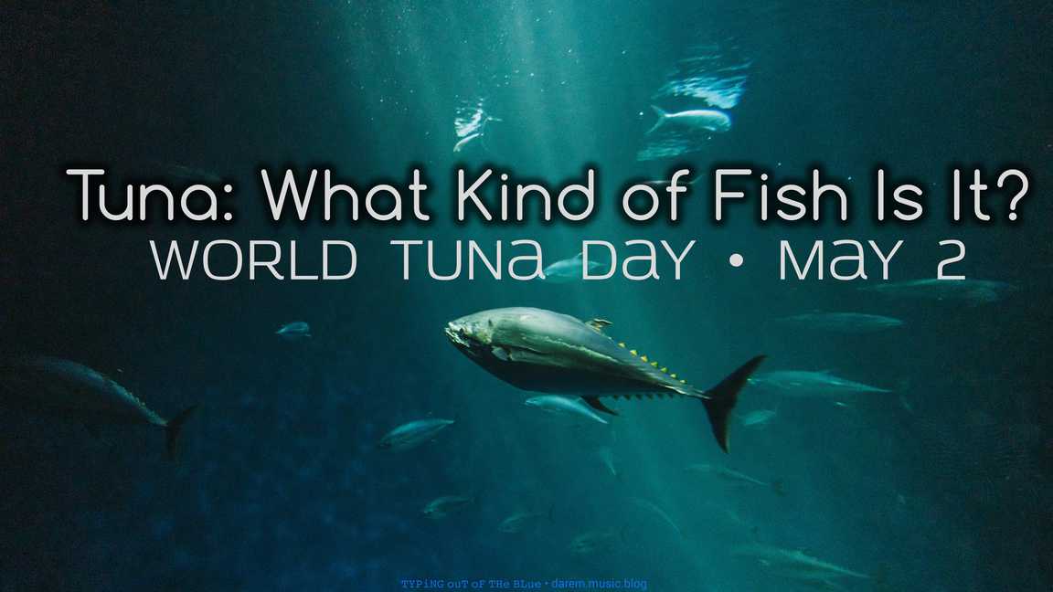 Tuna: What Kind of Fish Is It?