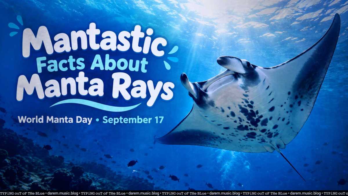 Mantastic Facts About Manta Rays